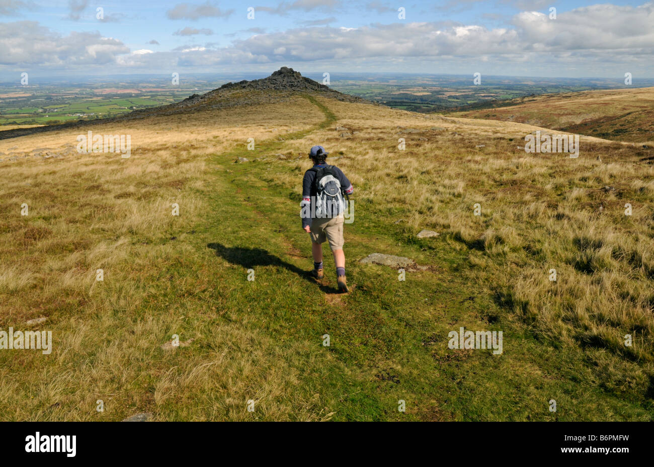 Striding out across Belstone Common on Dartmoor, looking north. Stock Photo