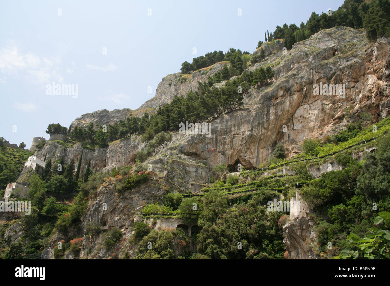 terraced lemon cultivation between Amalfi and Atrani, Amalfi Coast, Campania, Italy Stock Photo