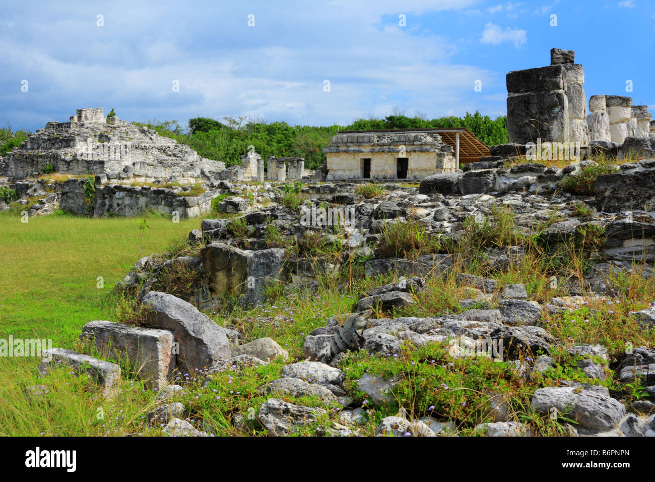 Ruina El Rey or Zona Arqueologica El Rey in Cancun Mexico Stock Photo Alamy