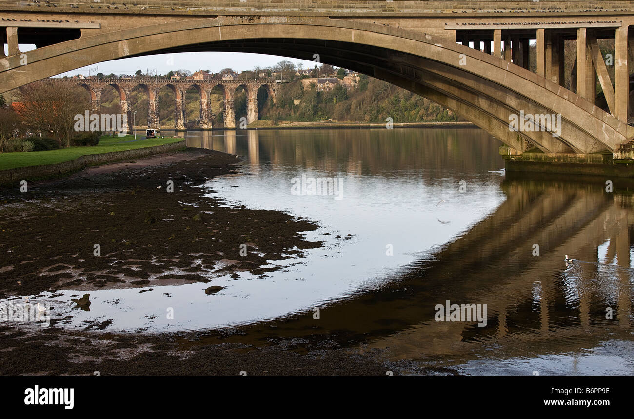 The arches of the Royal Borders Bridge viewed from under one of the