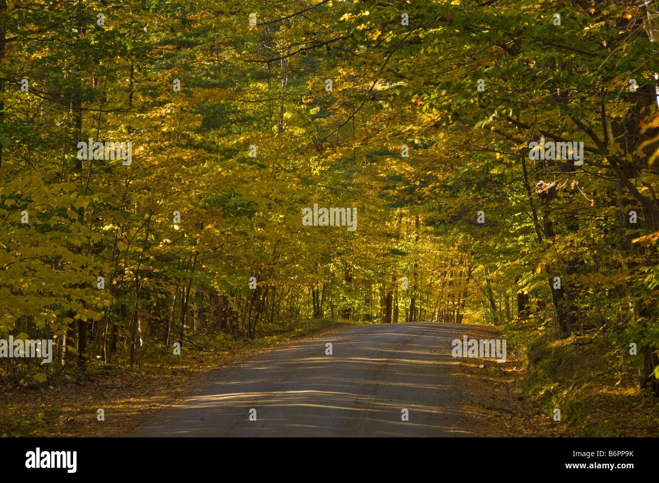 Autumn fall colours Vermont back country road near Grafton USA United States of America Stock Photo