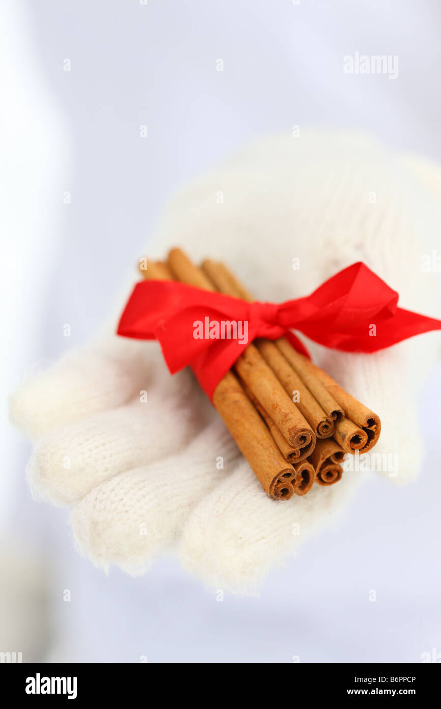 Hands with winter gloves holding Cinnamon sticks with red bow Stock Photo