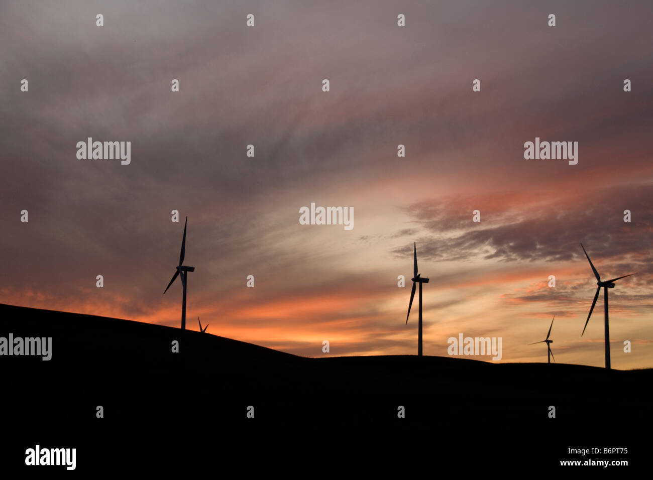 Solano Wind Power Project near Rio Vista California United States Stock Photo Alamy