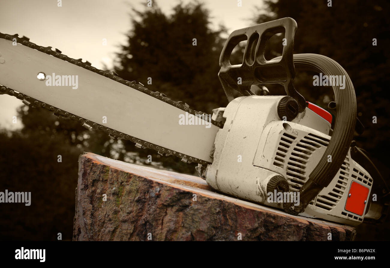 Chainsaw posed on cut tree stump. Stock Photo