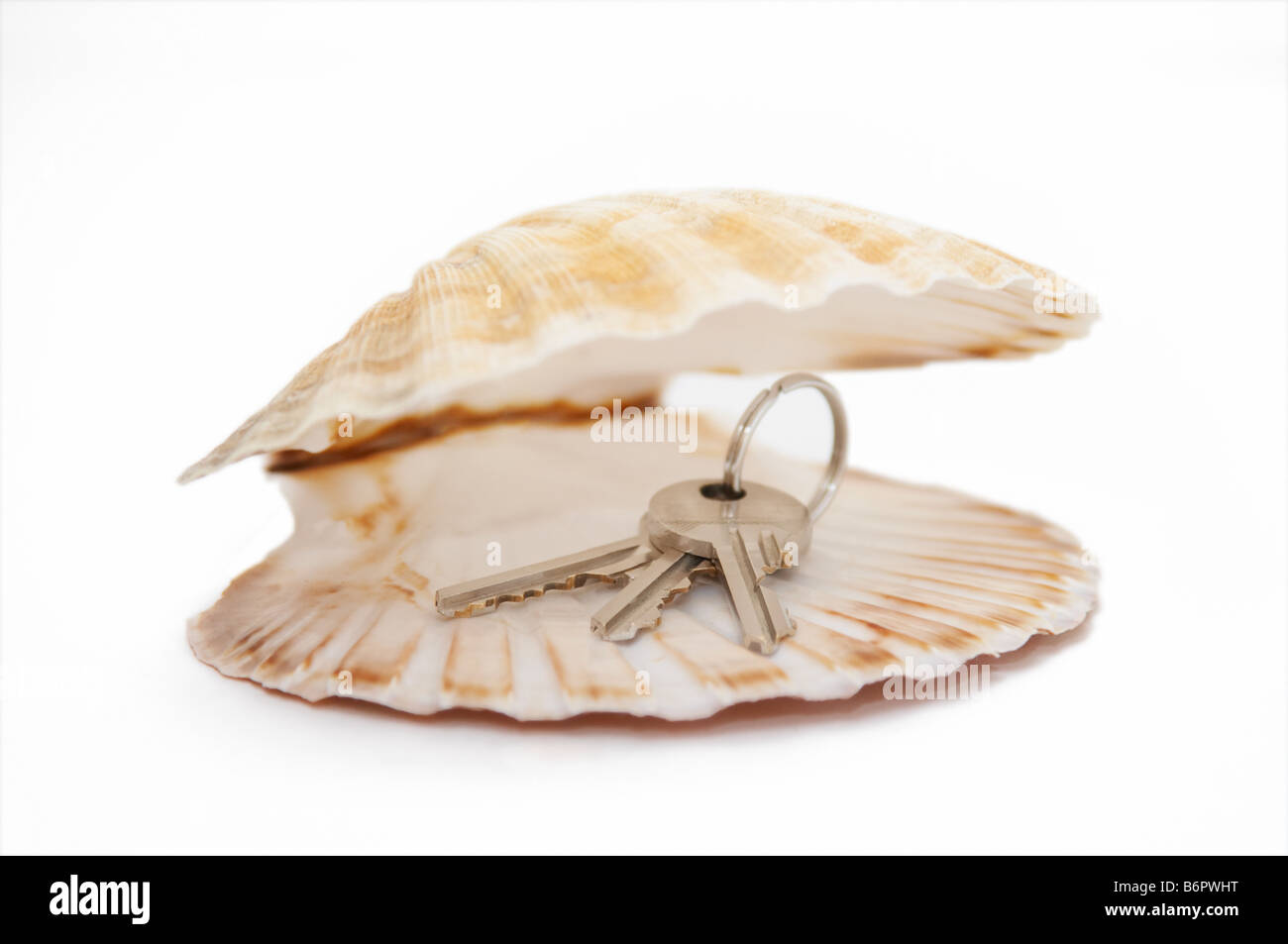 open seashell with keys Stock Photo Alamy
