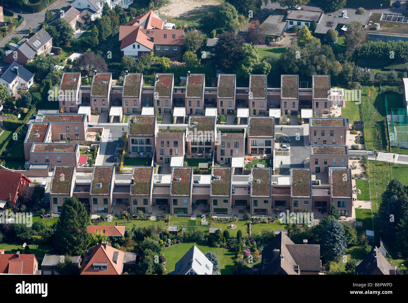 Private houses with garden roofs, Munster, Germany Stock Photo
