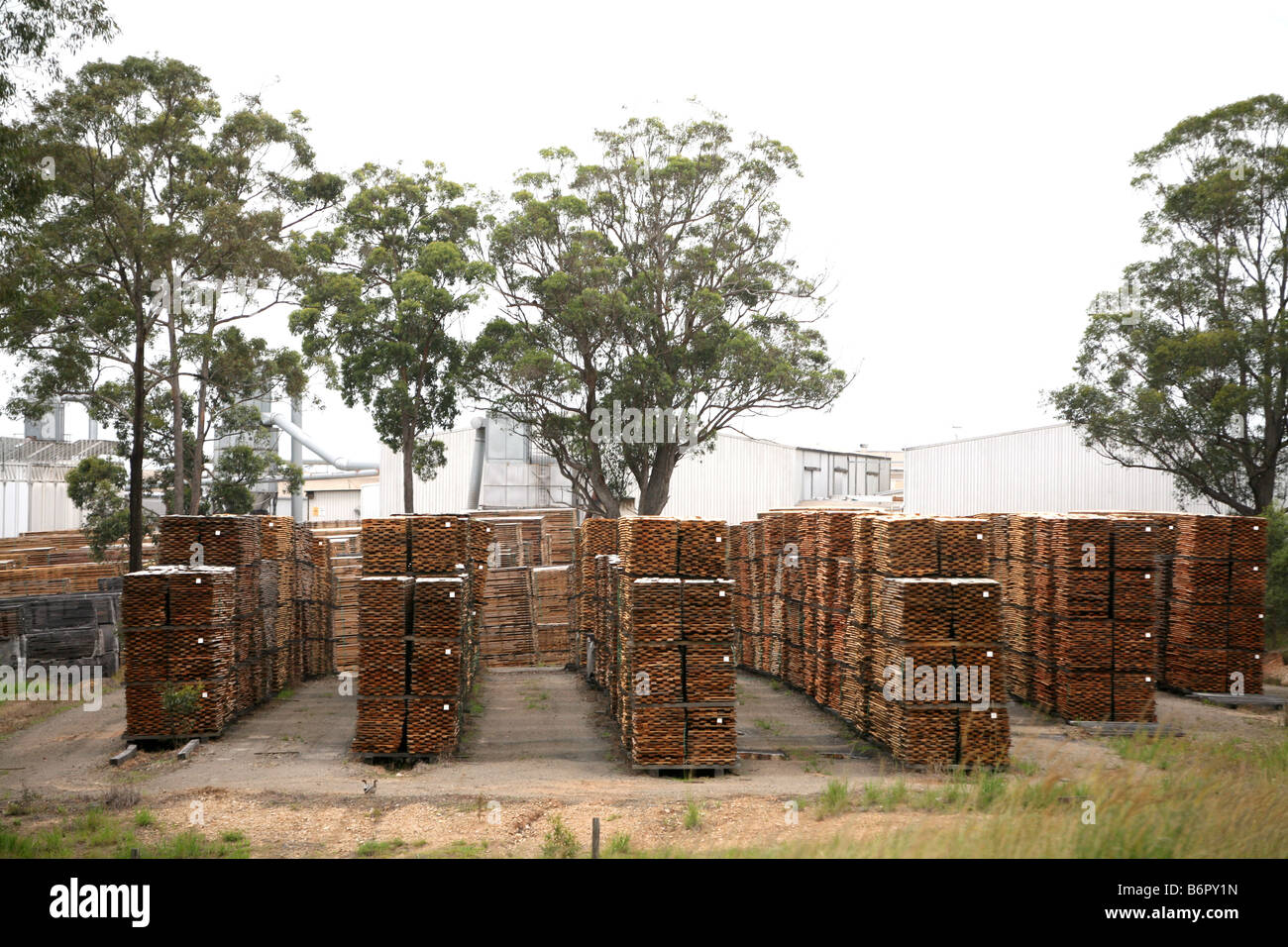 Australian hardwood stacked and drying at a yard in NSW Australia Stock Photo