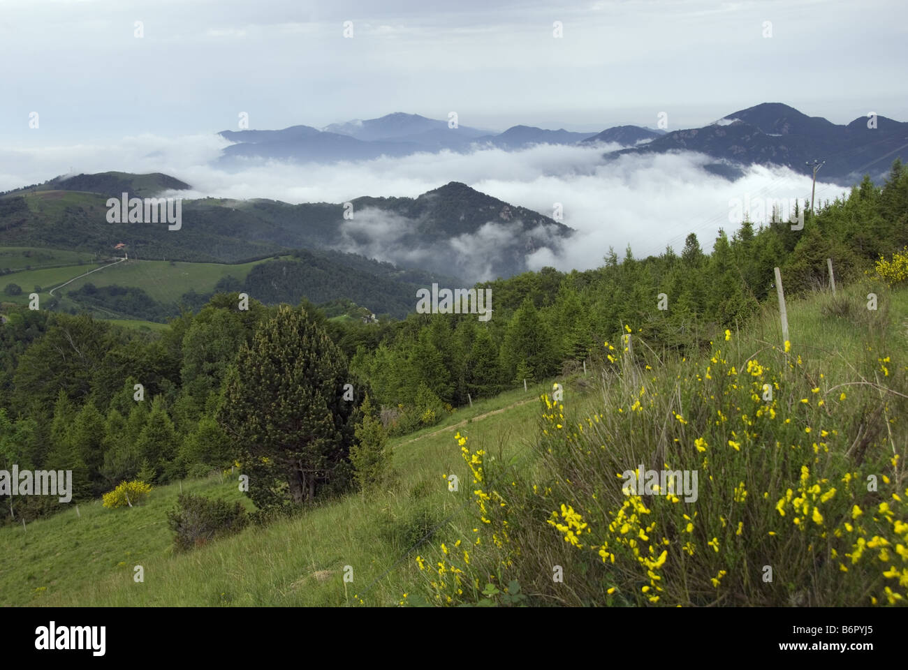 mountain scenery at Col d'Ares, border between France and Spain, France, Pyrenees Stock Photo
