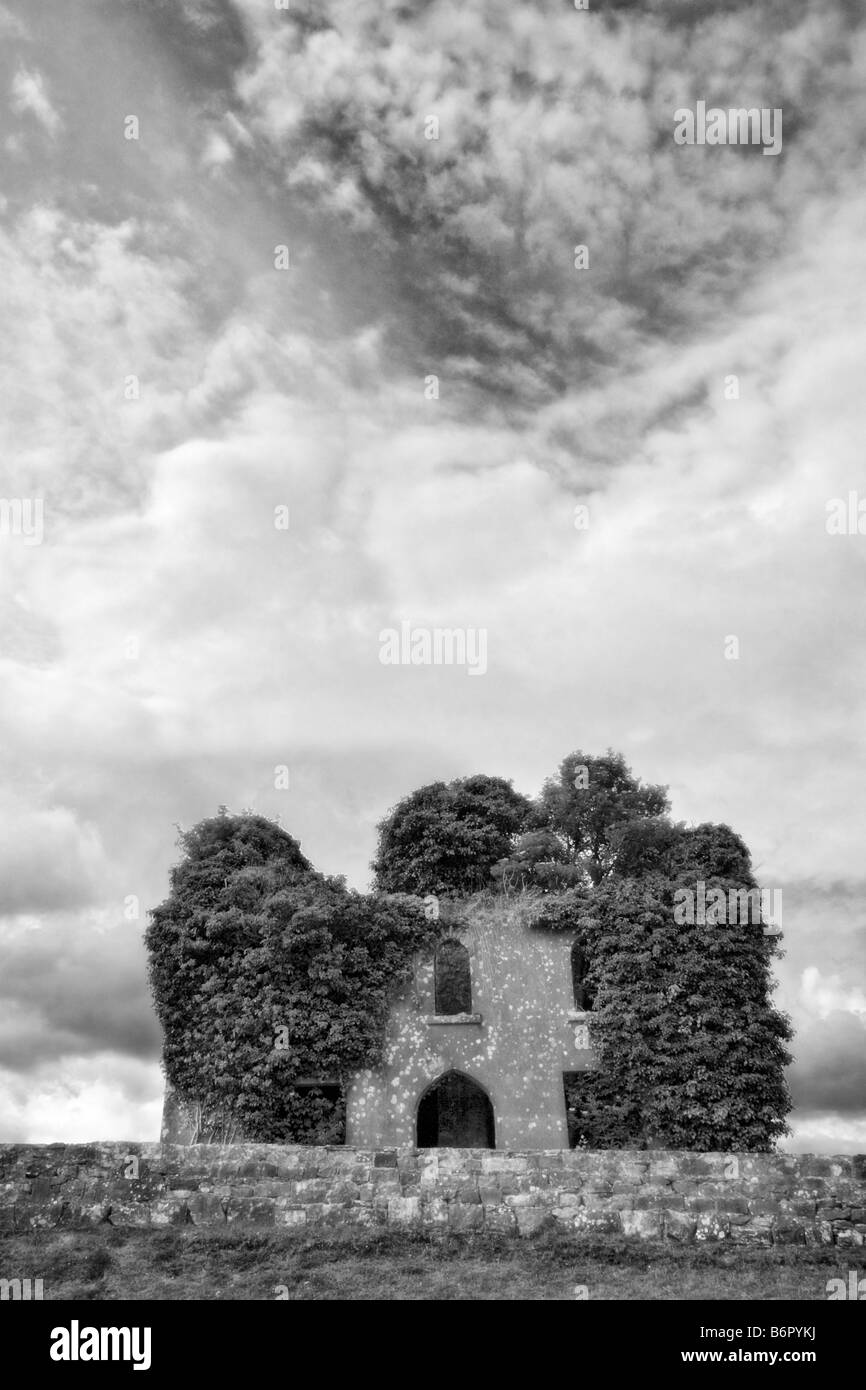 Cong, County Mayo, Ireland - A ruin of a house in Cong now harbours a tree. Stock Photo
