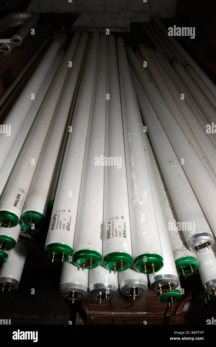 Philips long fluorescent tubes lamps. Stock Photo