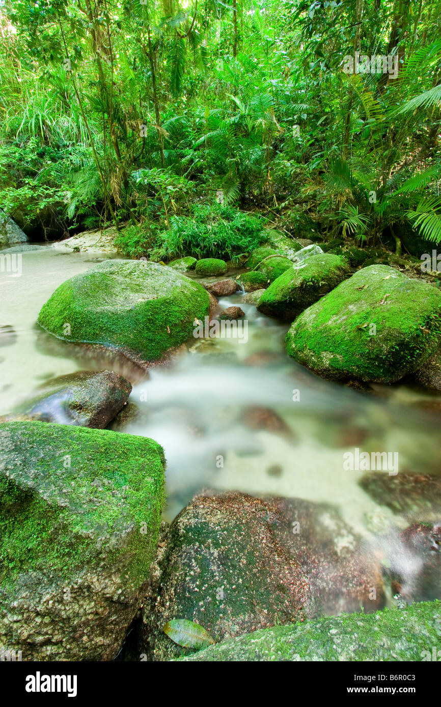 Wurumbu Creek is a small stream in the Mossman Gorge section of Daintree National Park, Queensland, Australia Stock Photo