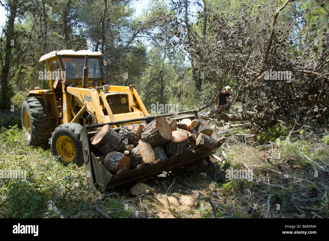Deforestation cut out hi-res stock photography and images - Alamy