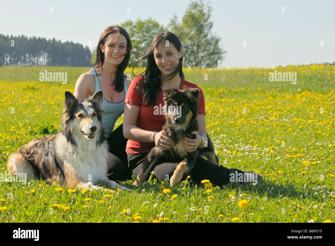 Teens and dogs hi-res stock photography and images - Alamy