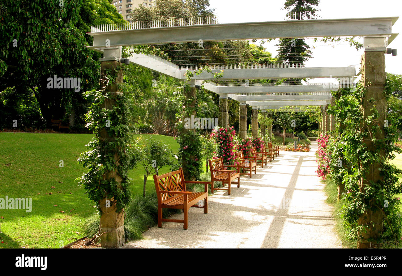 Rose Garden Arbor in the Sydney Botantic Gardens Stock Photo