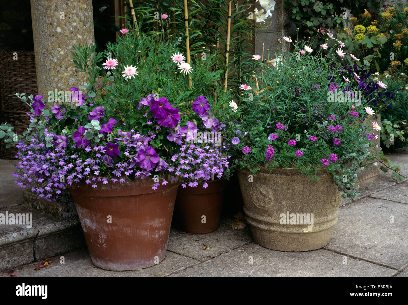Cool colour pots with pink and mauve Stock Photo