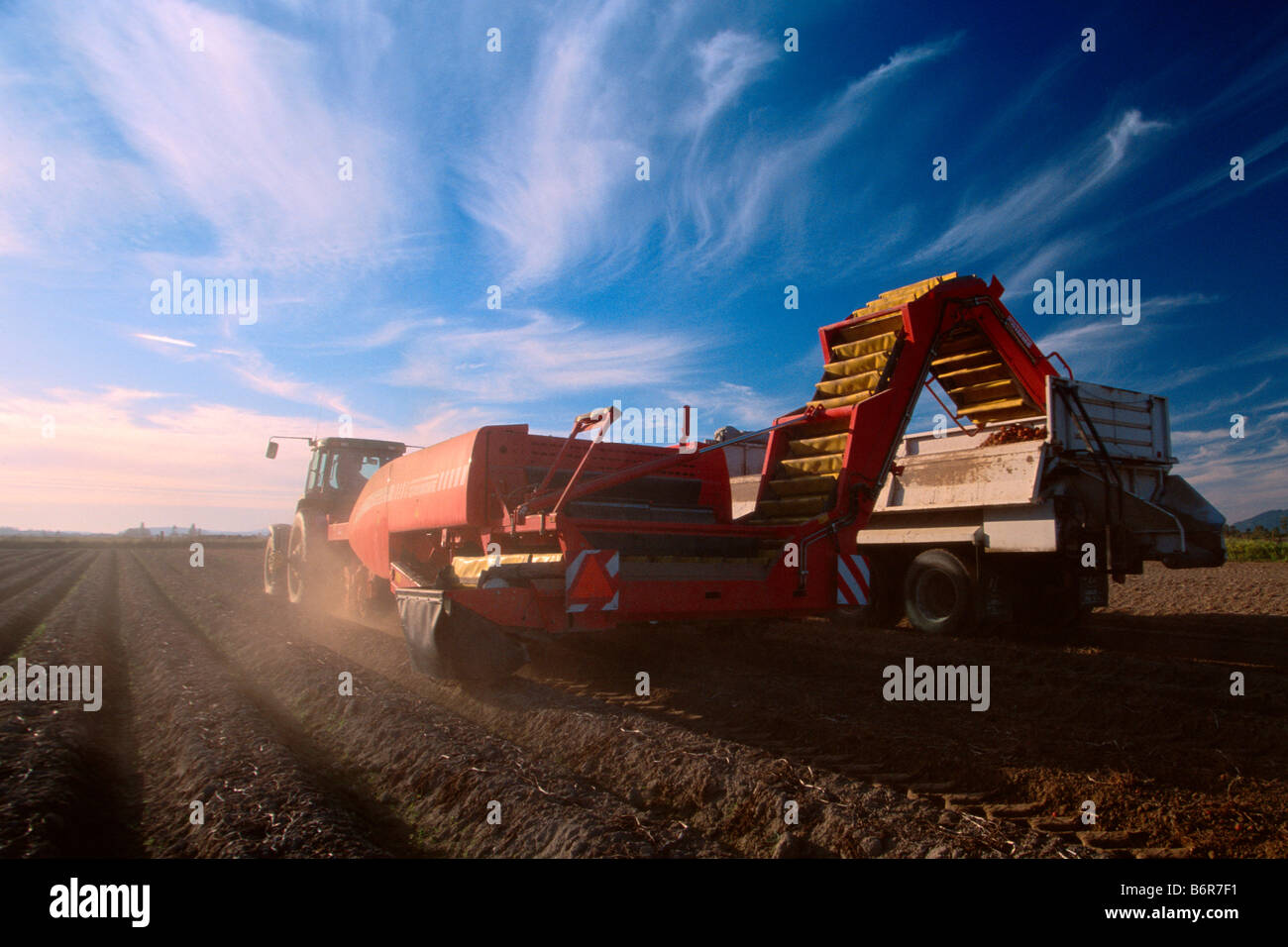 Two row potato digger harvests hires stock photography and images Alamy