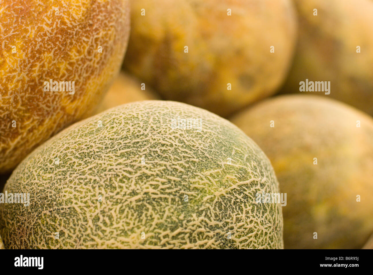 Rock melon or cantaloupe for sale at the Adelaide Central Market Stock Photo