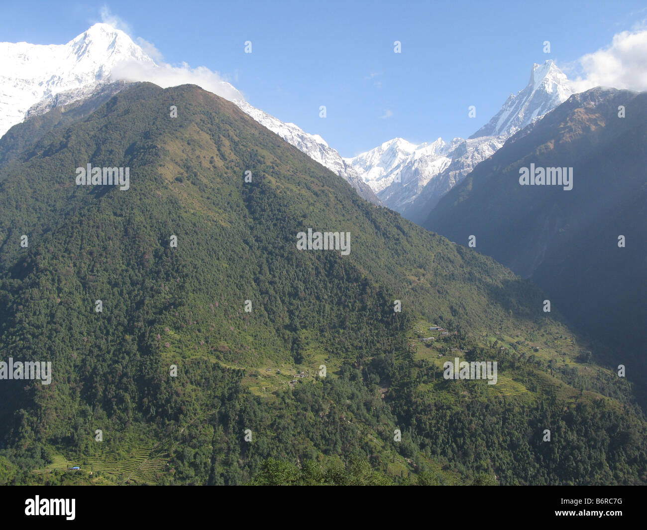 Machapuchare (Fishtail) mountain and Hiun Chuli seen from Chhomrong, Annapurna foothills, Gandaki, Himalayas, Nepal, Asia Stock Photo