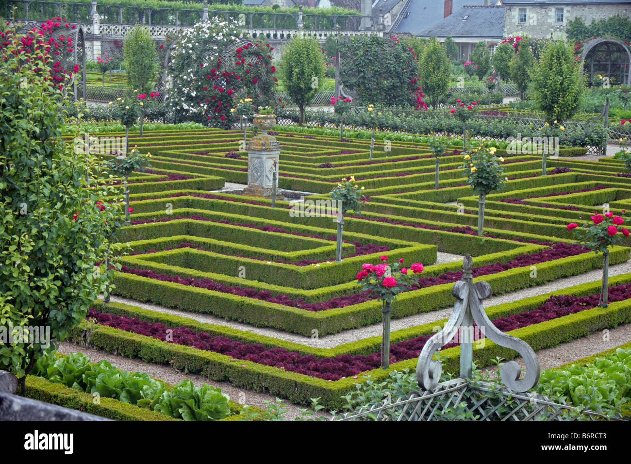 historic potager vegetable garden at Chateau de Villandry Loire Valley France Stock Photo