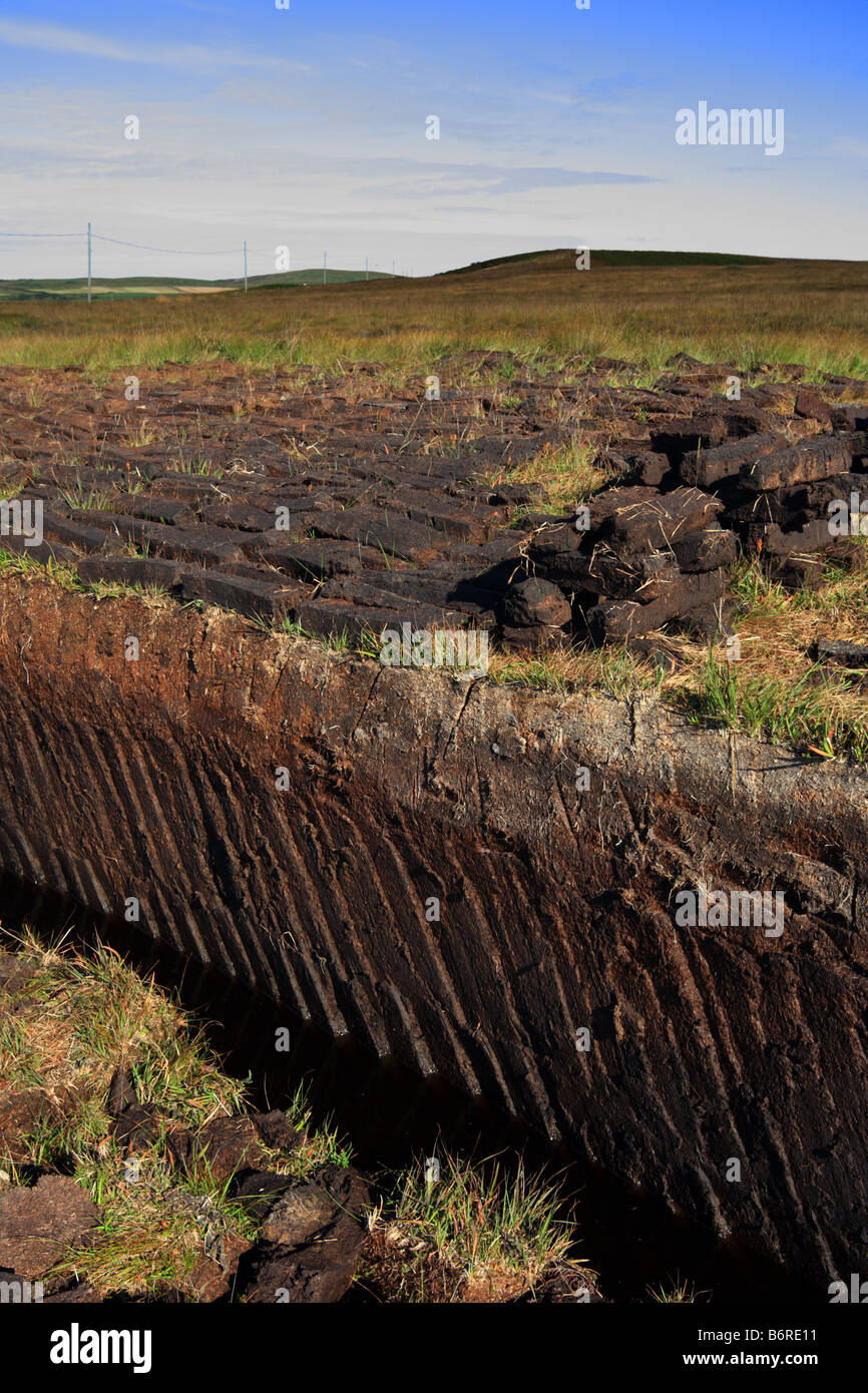 "Peat Cutting" Islay, Scotland. Peat is used as a winter fuel Stock Photo Alamy