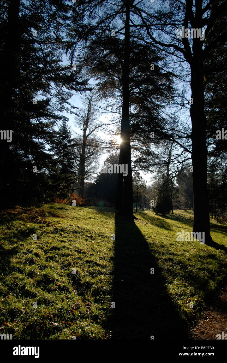 Winter view sussex hi-res stock photography and images - Alamy
