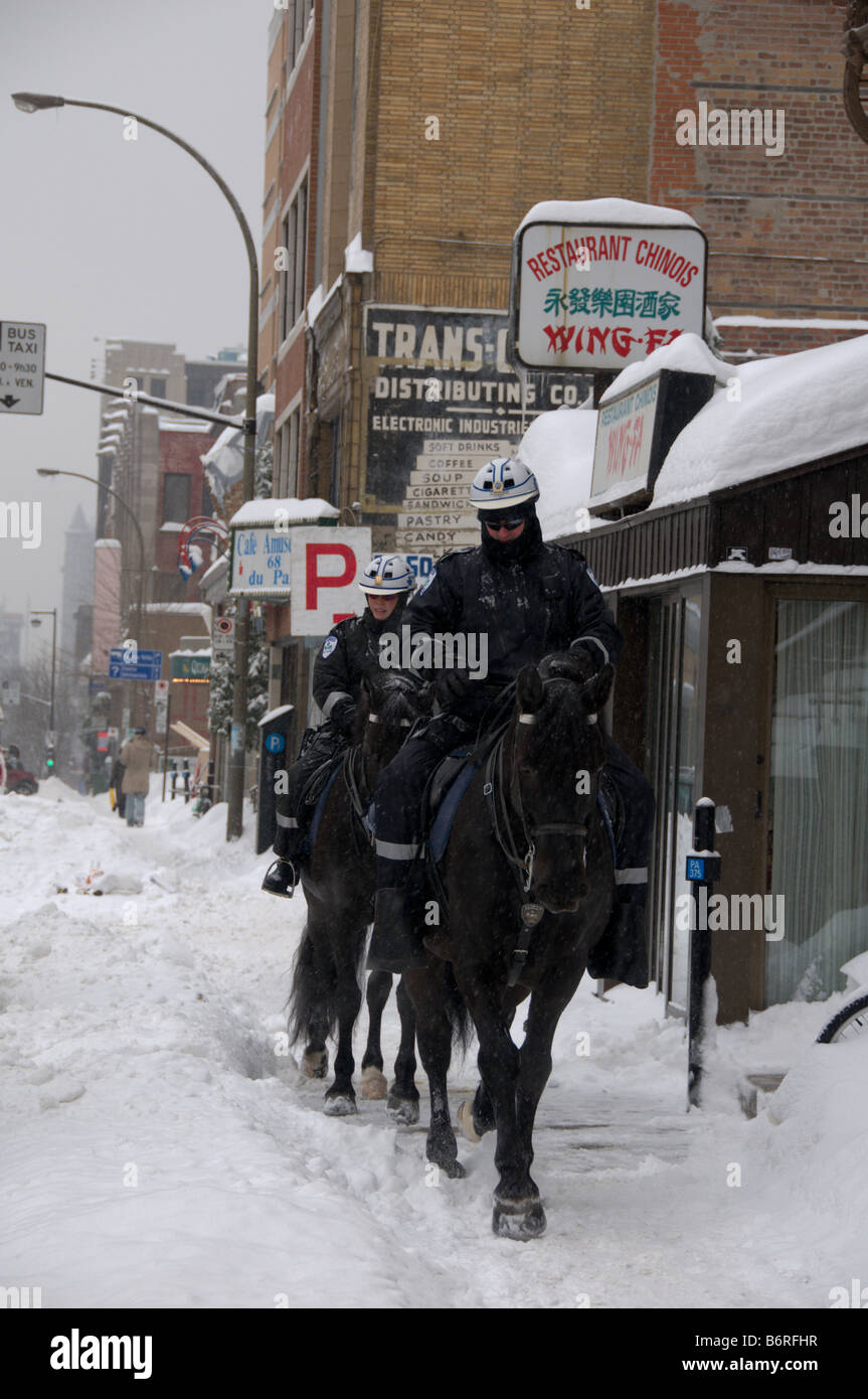 Canadian mounted police horse hi-res stock photography and images - Alamy
