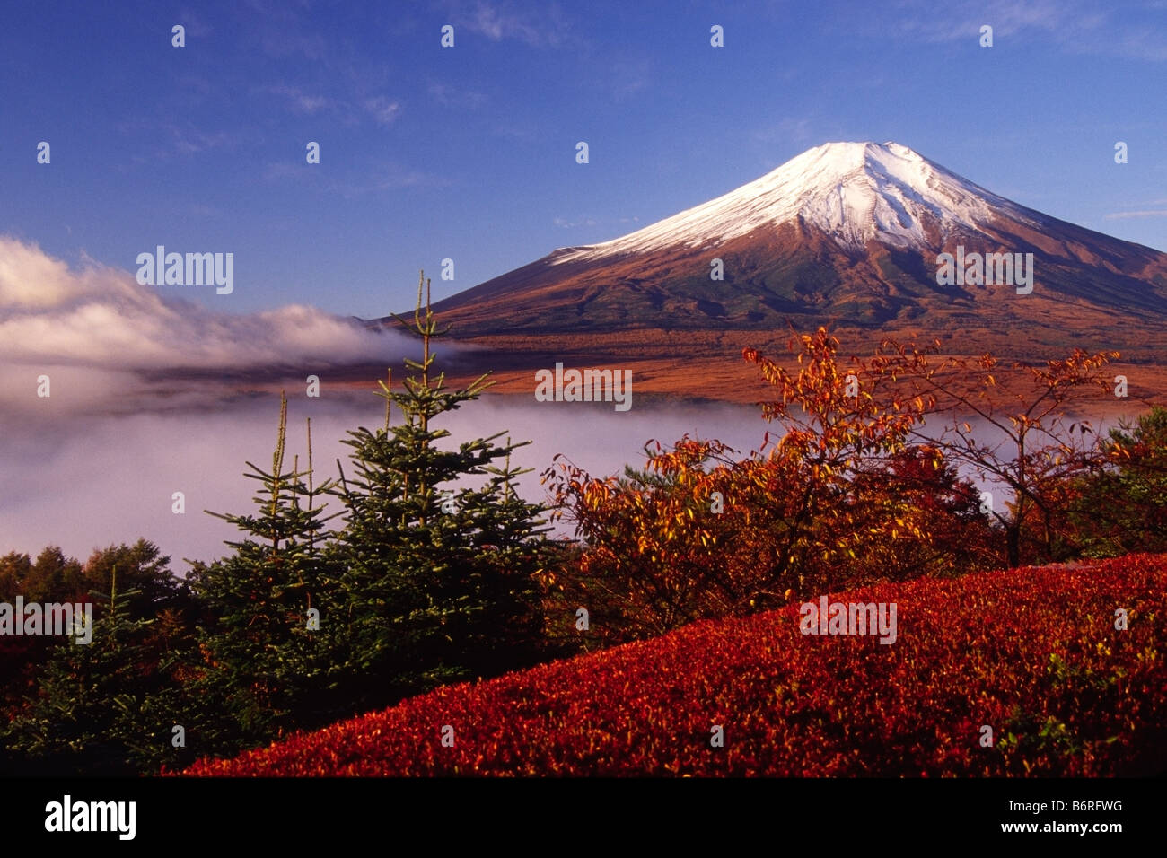 Mount Fuji in autumn with mist rising from lake, Japan Stock Photo
