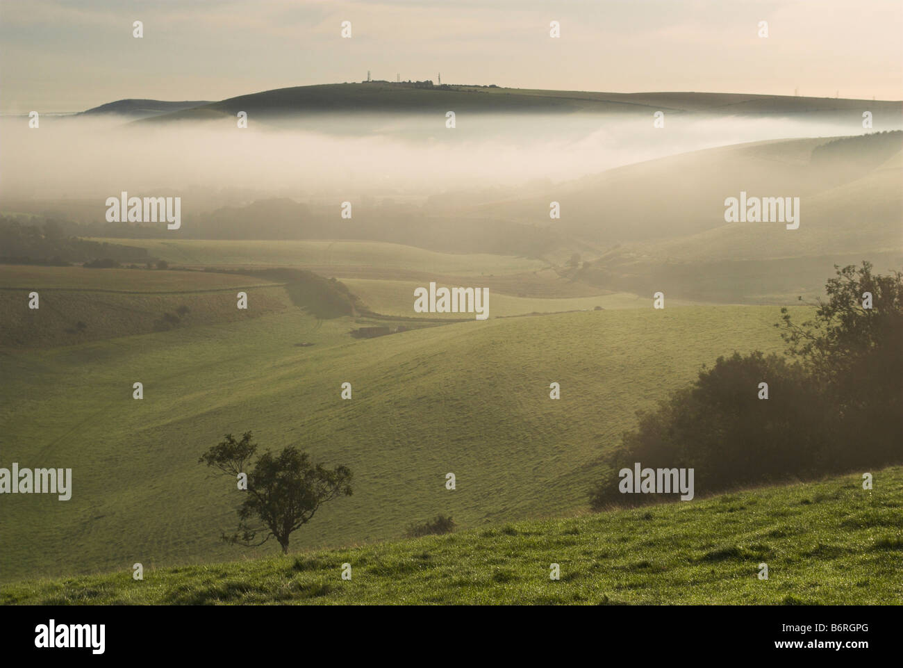Steyning bowl hi-res stock photography and images - Alamy