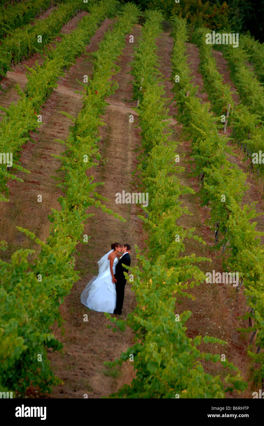 Bride and groom kissing in a vineyard Stock Photo - Alamy