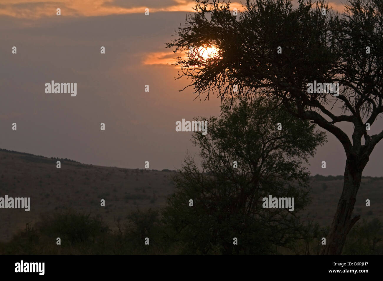 African sunset masai mara hi-res stock photography and images - Alamy