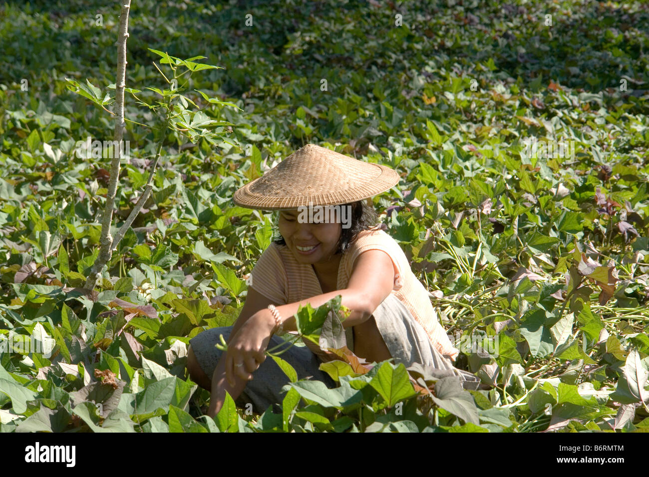 Chapeau pointu hi-res stock photography and images - Alamy