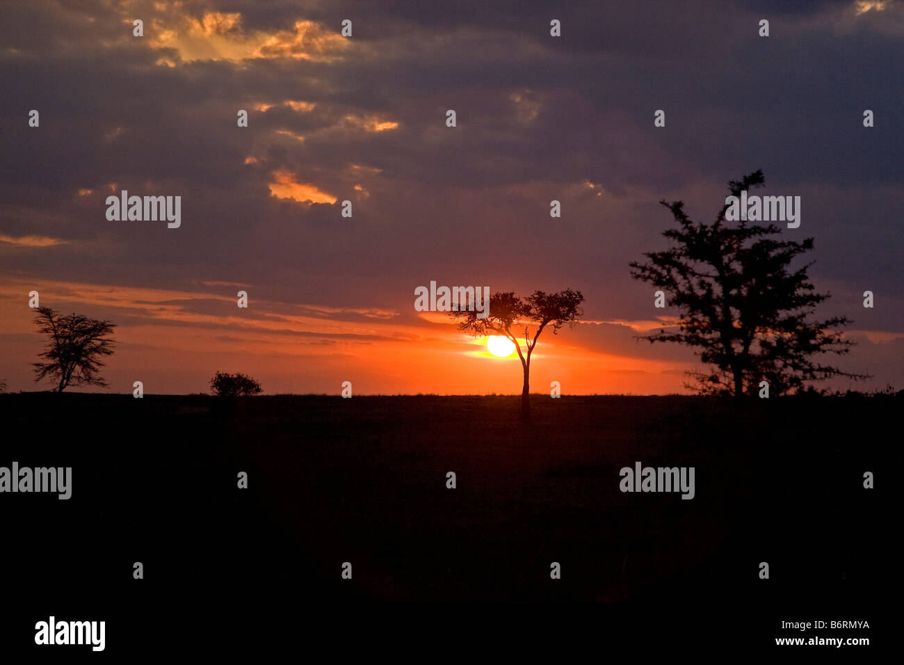 African sunset masai mara hi-res stock photography and images - Alamy