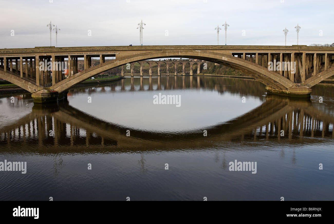 The arches of the Royal Borders Bridge viewed from under one of the