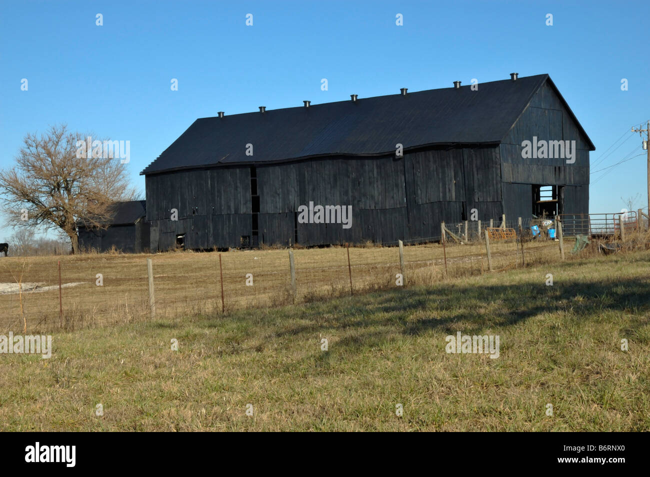 Black Wooden Tobacco Barn In Kentucky Stock Photo Alamy