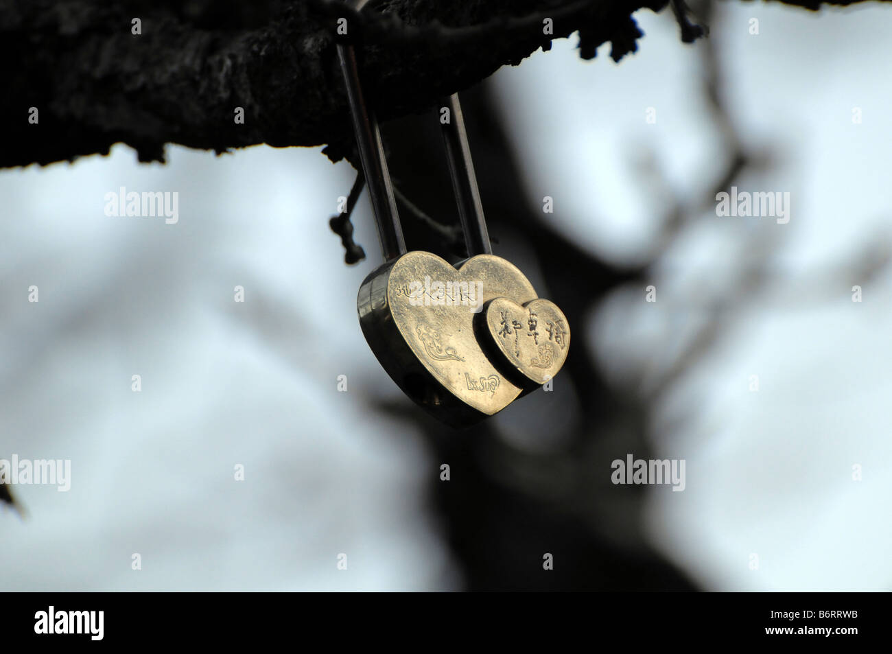 Love token, Huangshan, Yellow Mountain, China. Couples leave a lock on the mountain to show they will stay together forever. Stock Photo
