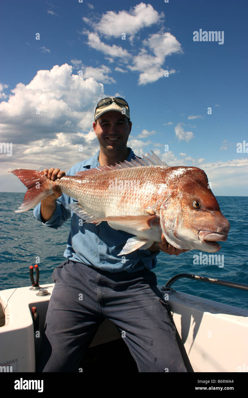 red snapper in south australian waters Stock Photo