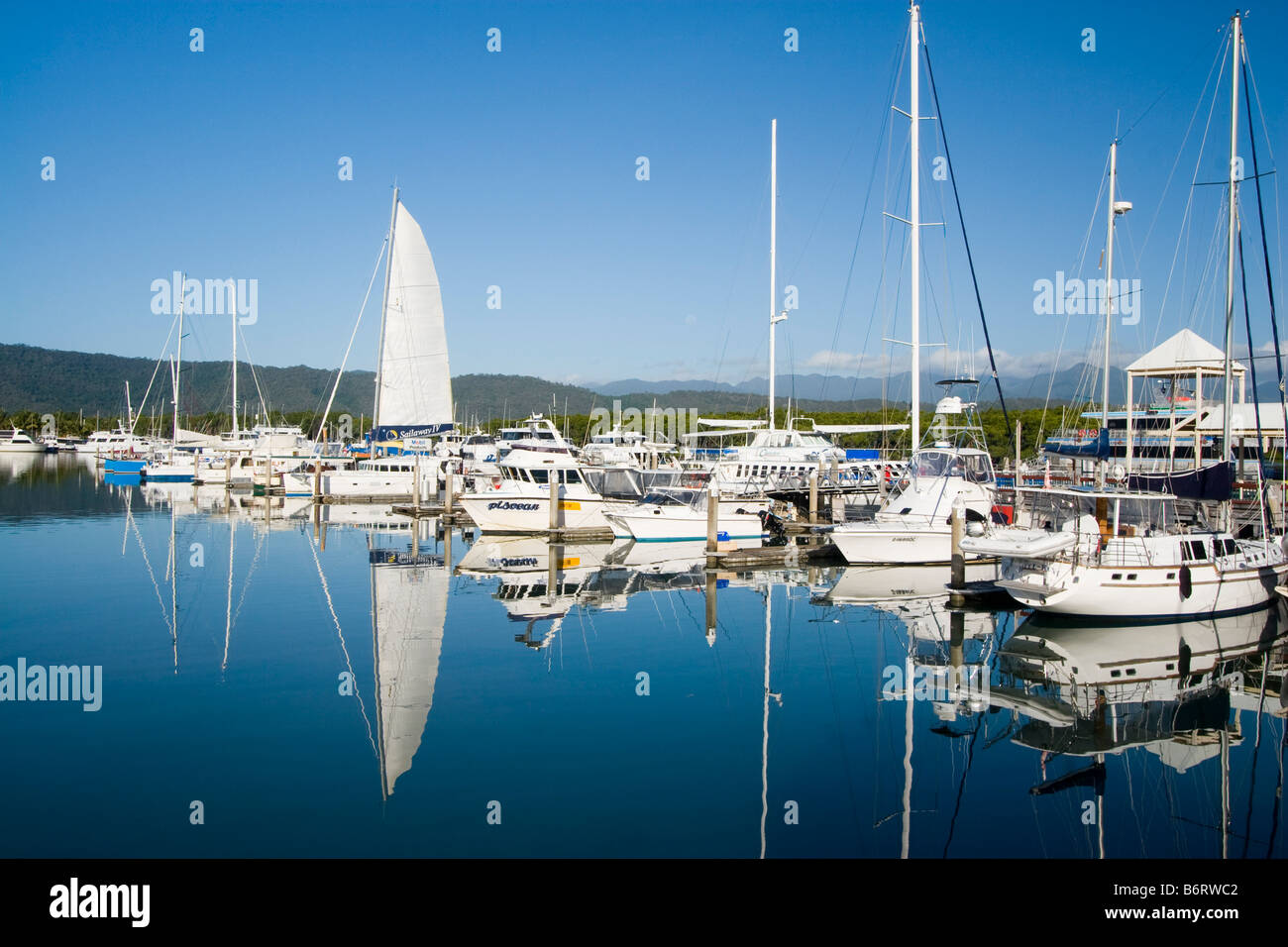 Luxurious private yachts moored at the Port Douglas marina, Queensland, Australia Stock Photo