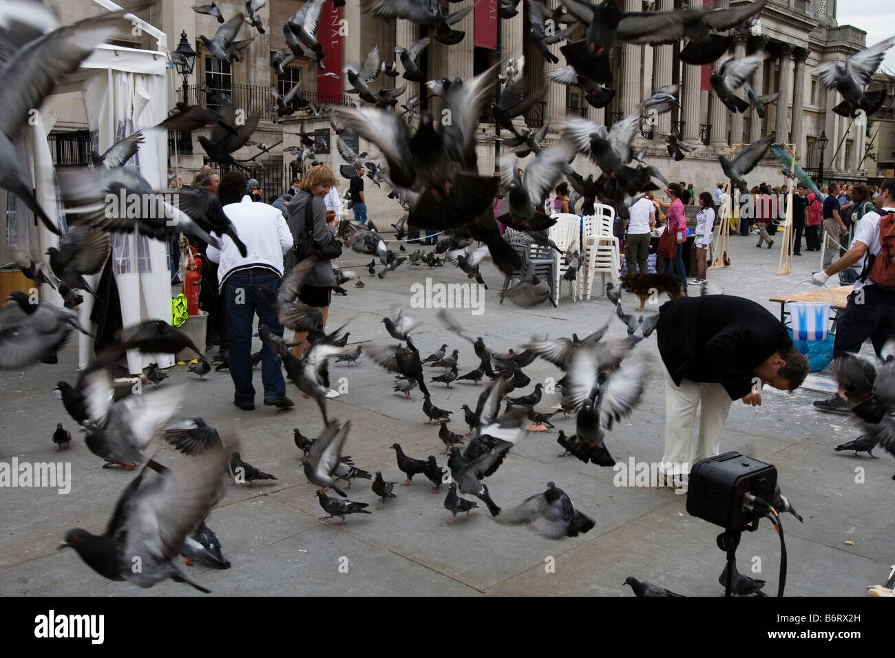 Pigeons in Trafalgar Square take flight. Stock Photo