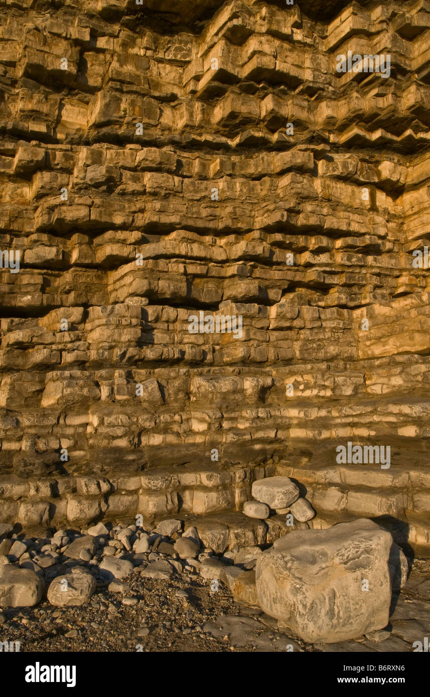 Close up of the limestone cliff on the Glamorgan Heritage Coast showing pattern and detail Stock Photo