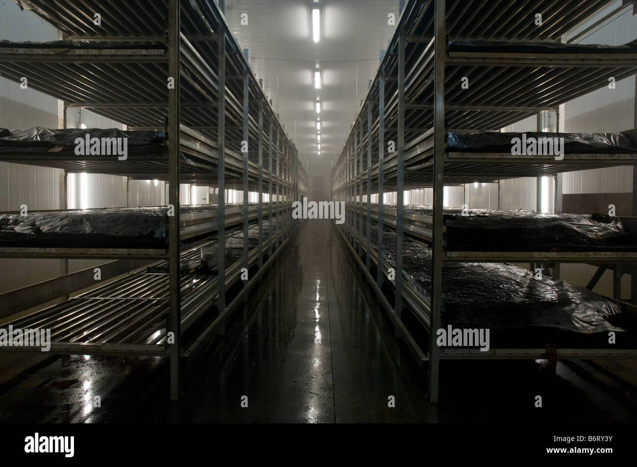 shelves of organic compost are kept under controlled environmental