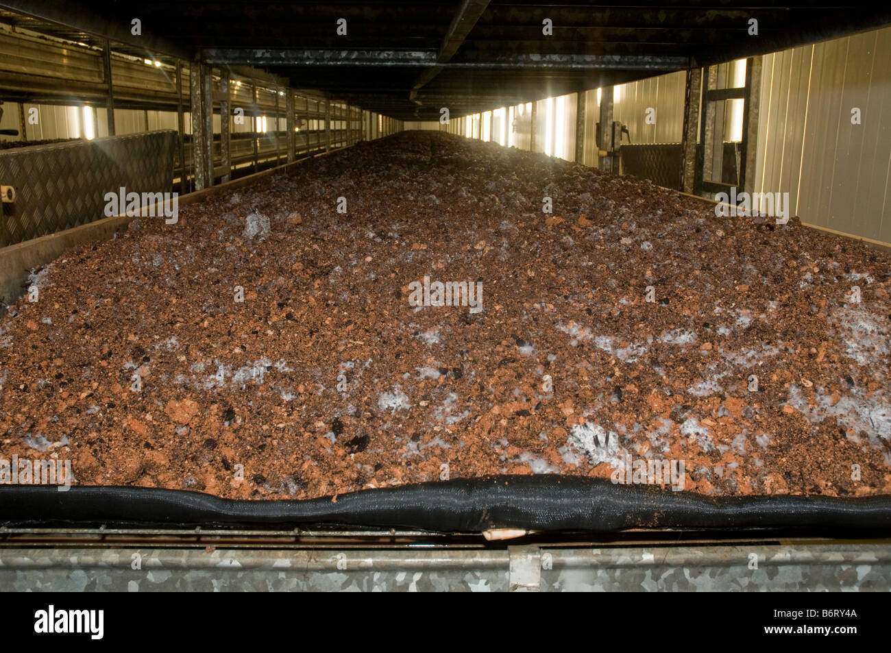 Controlled humidity mist hi-res stock photography and images - Alamy