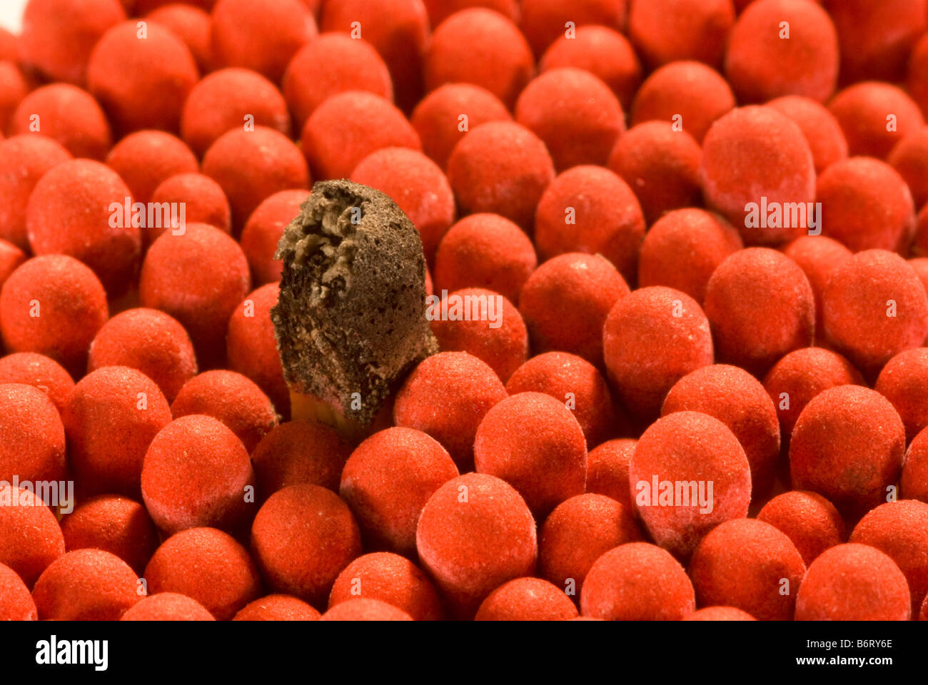 A single dead, black match surrounded by red match heads Stock Photo