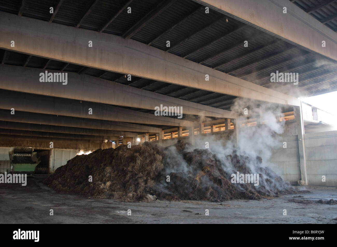 Pile of hot compost for commercial mushroom farming producing rotting gases Stock Photo