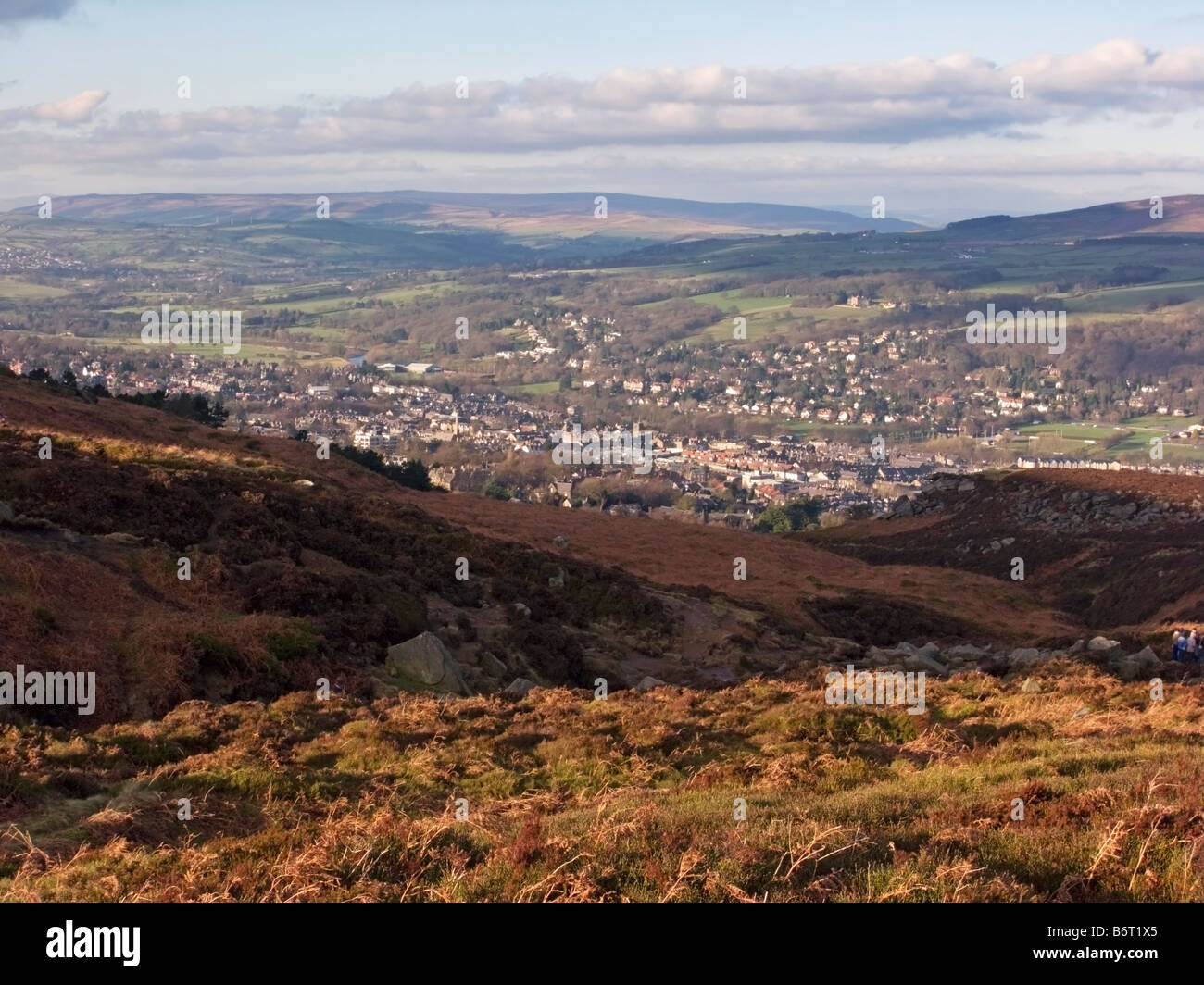 Cow from ilkley moor hires stock photography and images Alamy