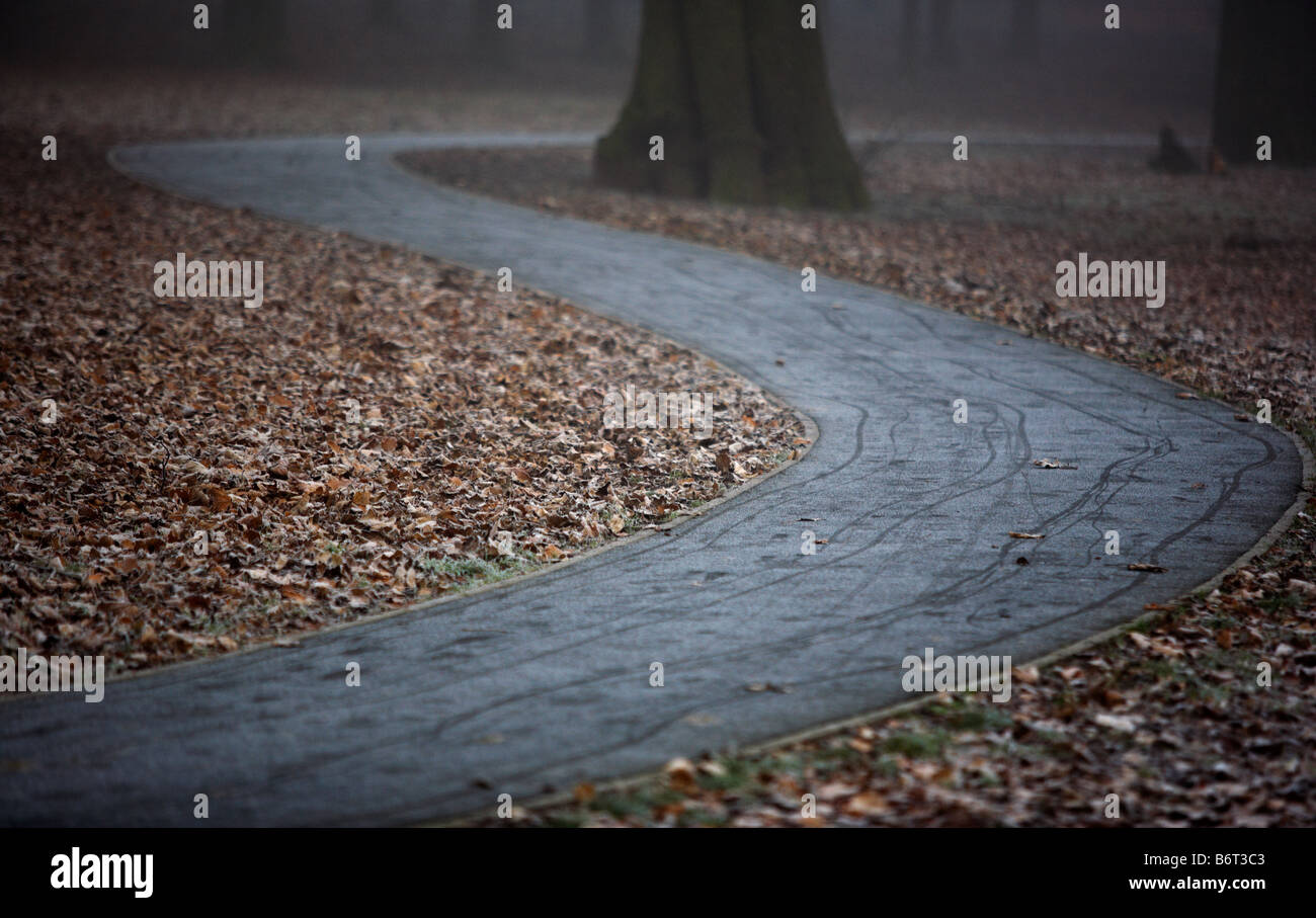 A path leading through woodland in Lightwoods Park, Birmingham, UK Stock Photo