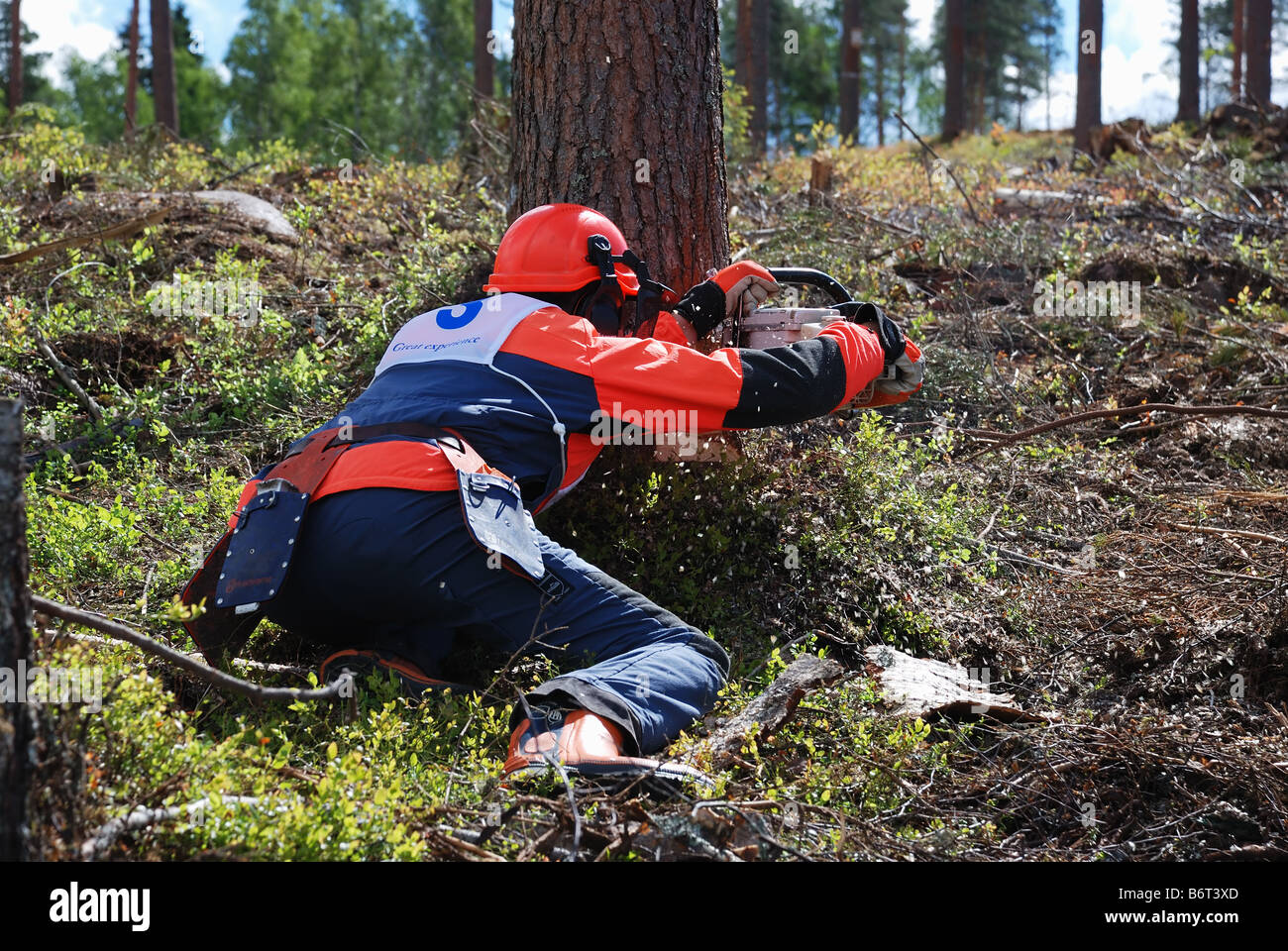Cutting area hires stock photography and images Alamy