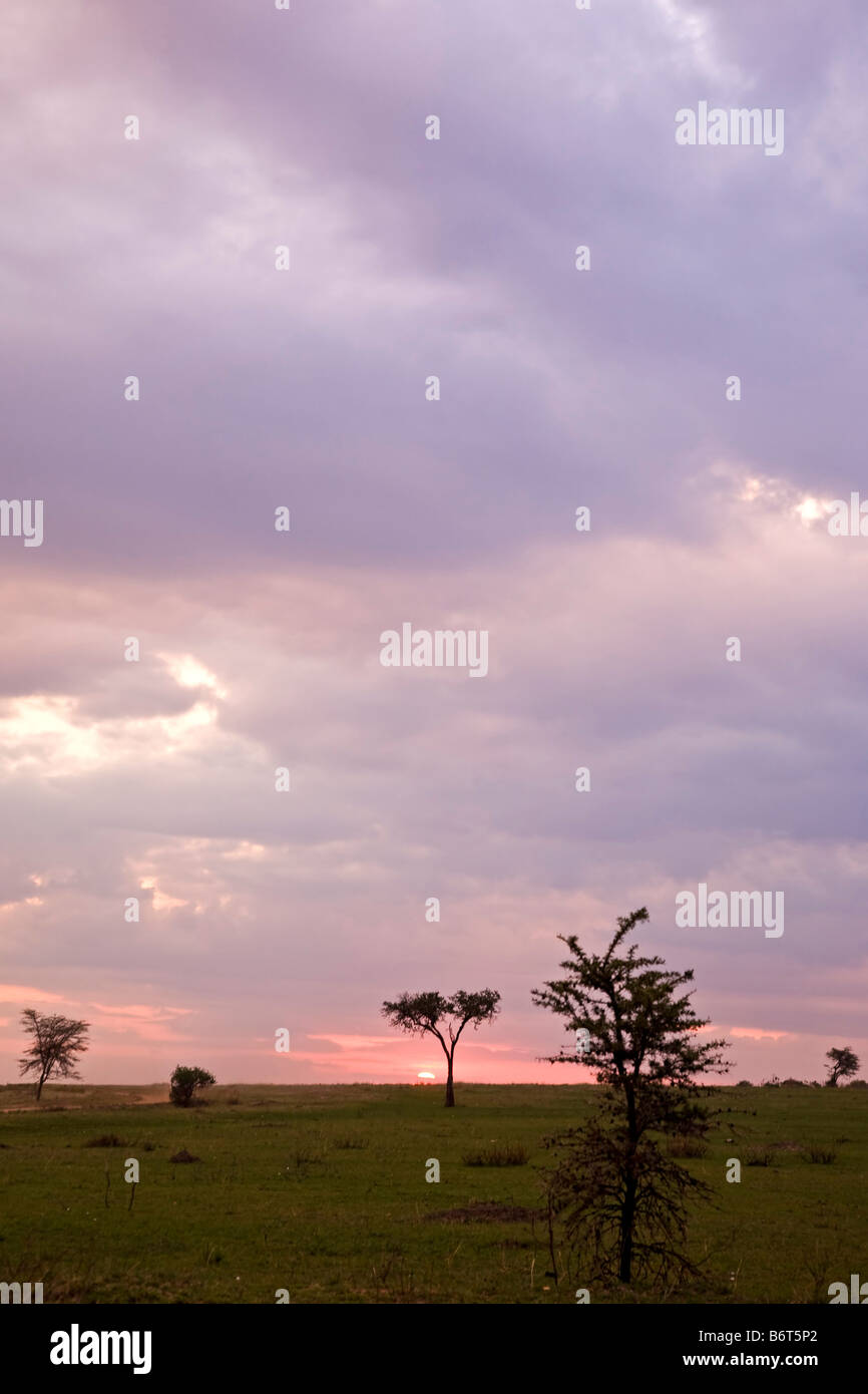 Sunset masai mara kenya masai hi-res stock photography and images - Alamy