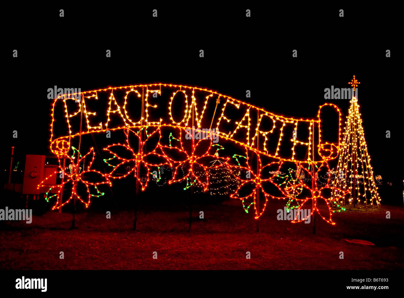 Christmas decoration lights Peace on Earth Sign in light at night poinsettias christmas tree dark background Stock Photo