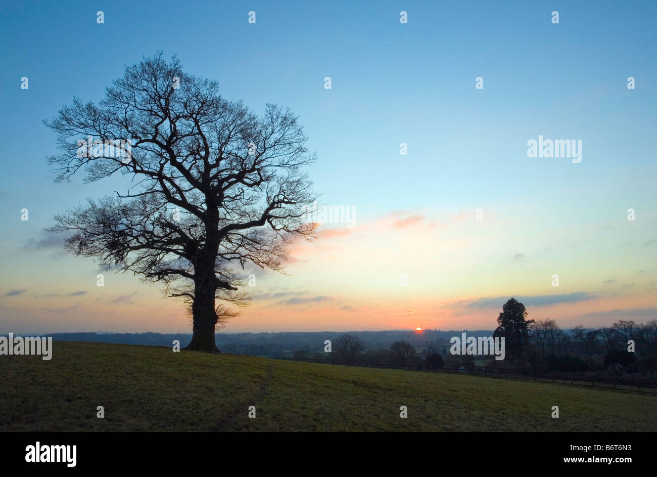 Sunset with tree in silhouette Stock Photo - Alamy