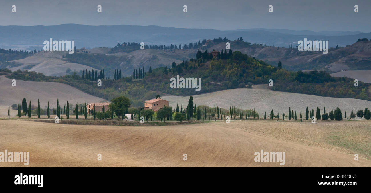 A colorful panoramic image of the rolling hills of Tuscany, with three rows of cypress trees and lots of front to back depth. Stock Photo